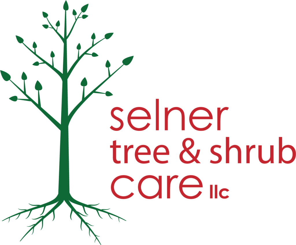 Selner Tree & Shrub Care, LLC : 