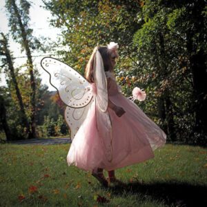 girl in princess dress and fairy wings