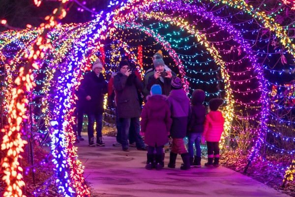 Tips for Your Trip: Making the Most of WPS Garden of Lights | Green Bay ...